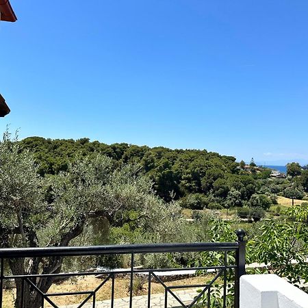 Pandora Studios Skiathos Kolios Eksteriør billede